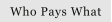 Who Pays What