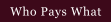 Who Pays What