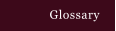 Glossary
